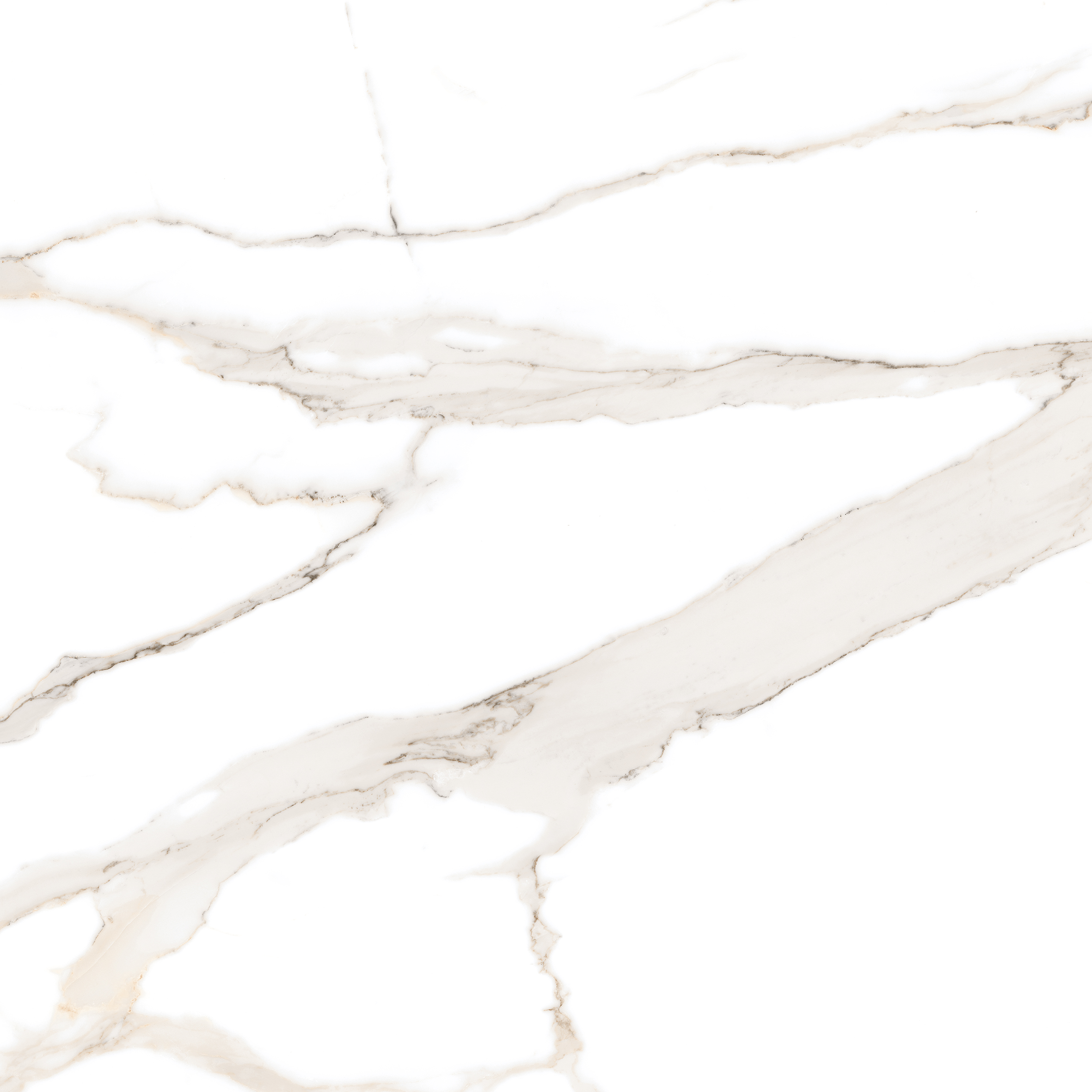 Statuario gold 60х60